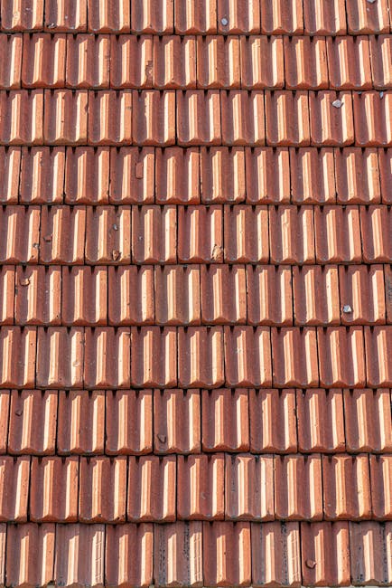 Detailed view of a terracotta tiled roof showcasing texture and pattern.
